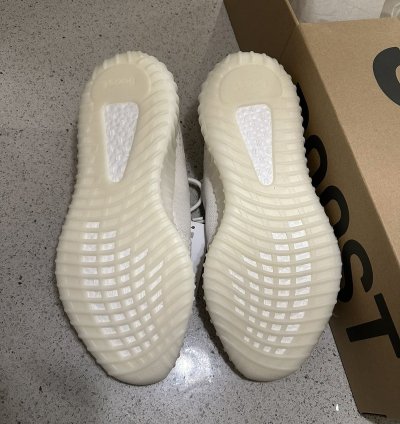 350 V2 Bone