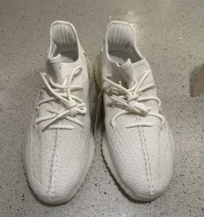 350 V2 Bone