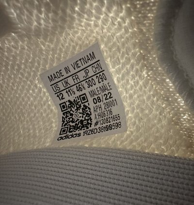 350 V2 Bone