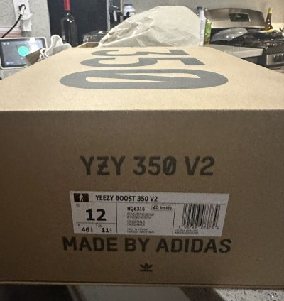 350 V2 Bone