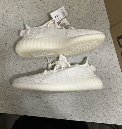 350 V2 Bone