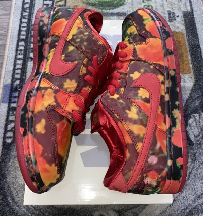 Nike Sb Dunk Low The Wizard Of Oz Poppy Field