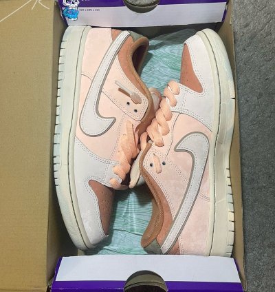 Nike Sb Dunk Low Trocad Ro Gardens