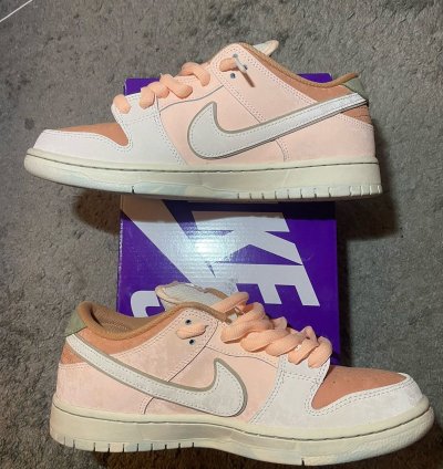 Nike Sb Dunk Low Trocad Ro Gardens