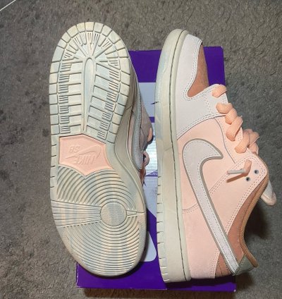 Nike Sb Dunk Low Trocad Ro Gardens