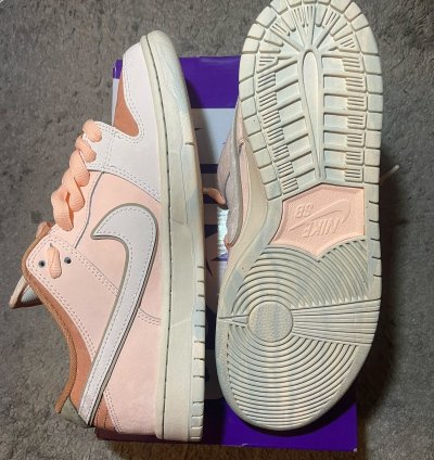 Nike Sb Dunk Low Trocad Ro Gardens