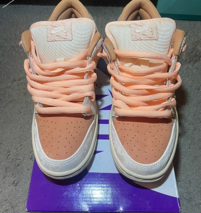 Nike Sb Dunk Low Trocad Ro Gardens