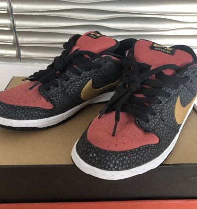 Nike Sb Dunk Low Walk Of Fame Brooklyn Projects