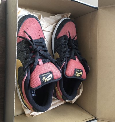 Nike Sb Dunk Low Walk Of Fame Brooklyn Projects
