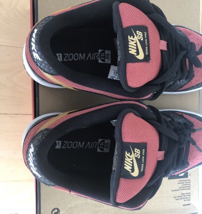 Nike Sb Dunk Low Walk Of Fame Brooklyn Projects