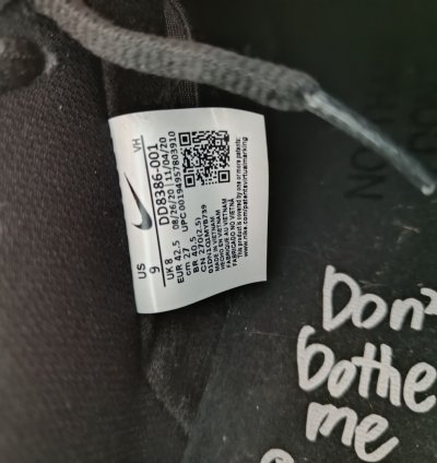 Nike Sb Dunk Low Wasted Youth
