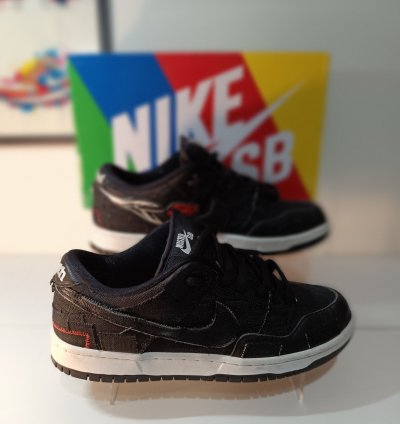 Nike Sb Dunk Low Wasted Youth
