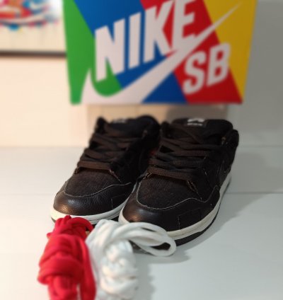 Nike Sb Dunk Low Wasted Youth