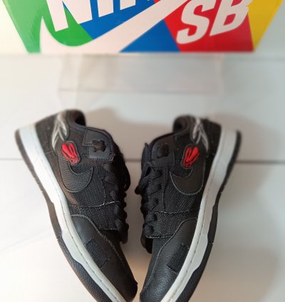 Nike Sb Dunk Low Wasted Youth