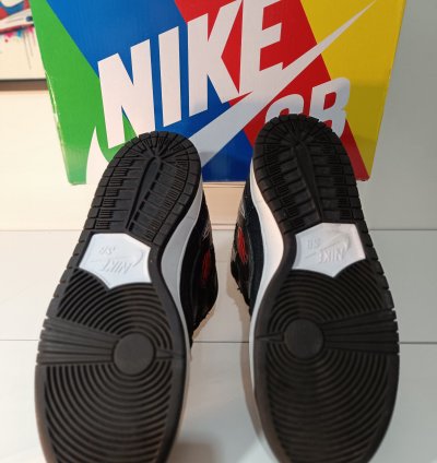 Nike Sb Dunk Low Wasted Youth