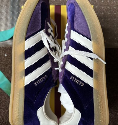 Adidas Gucci Gazelle