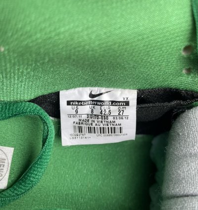 Nike Dunk Sb Premium Low Medusa