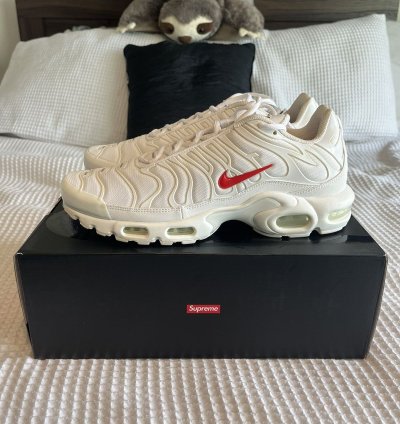 Supreme Nike Air Max Plus Sz 10 5
