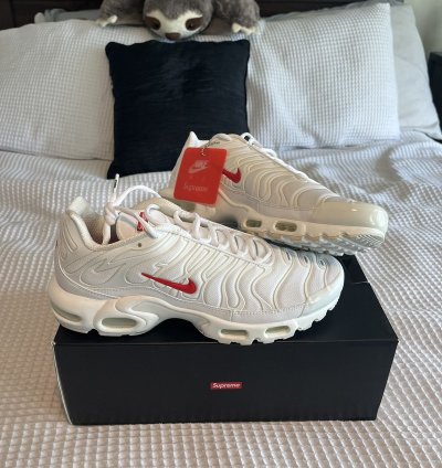 Supreme Nike Air Max Plus Sz 10 5