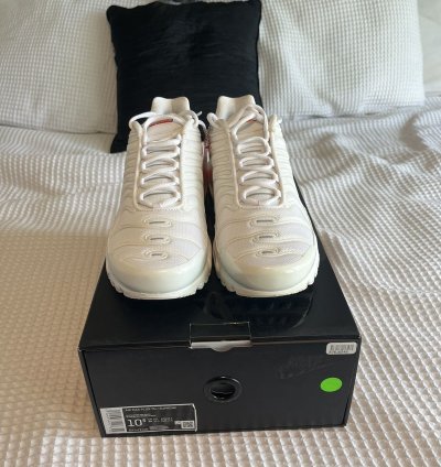 Supreme Nike Air Max Plus Sz 10 5