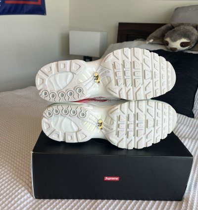 Supreme Nike Air Max Plus Sz 10 5