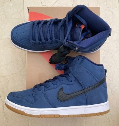 Nike Sb Dunk Pro Iso New