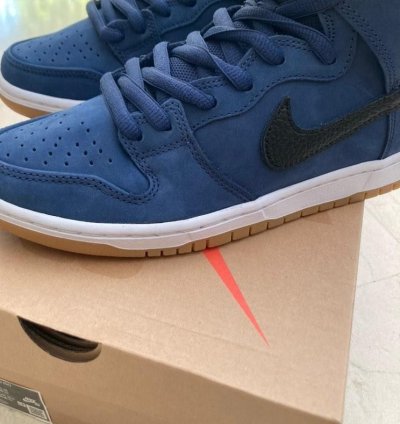 Nike Sb Dunk Pro Iso New