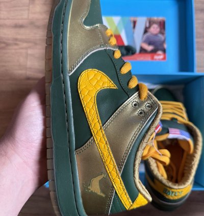 Nike Sb Dunk Pro Low Doernbecher 2018 - Bv8740-377
