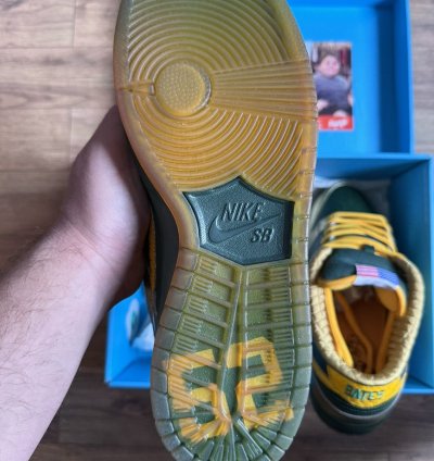 Nike Sb Dunk Pro Low Doernbecher 2018 - Bv8740-377