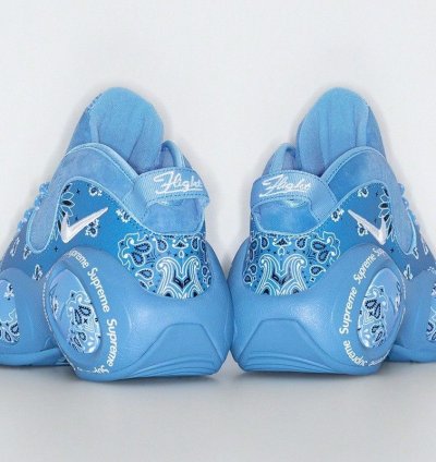 Supreme Nike Air Zoom Flight 95
