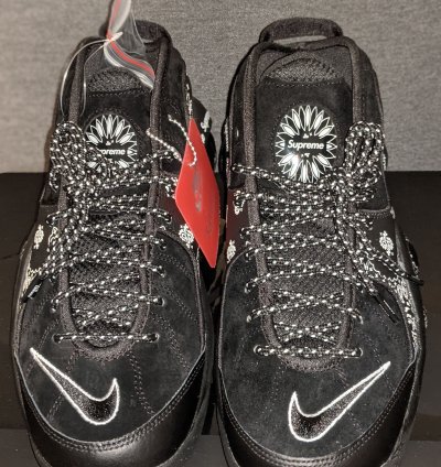 Supreme Nike Air Zoom Flight 95 Sp