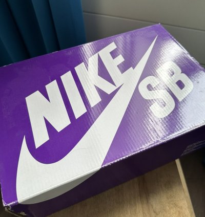 Nike Sb Dunk Why So Sad