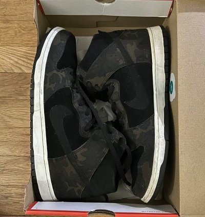 Nike Sb Iguana Camo Size 13