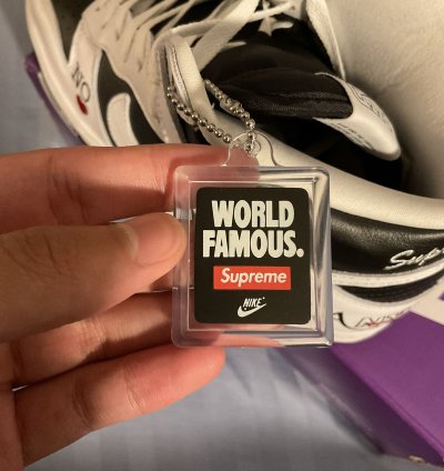 Supreme Nike Dunk High By Any Means Size 10