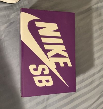 Supreme Nike Dunk High By Any Means Size 10