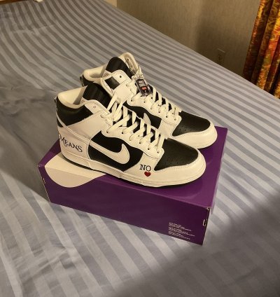 Supreme Nike Dunk High By Any Means Size 10