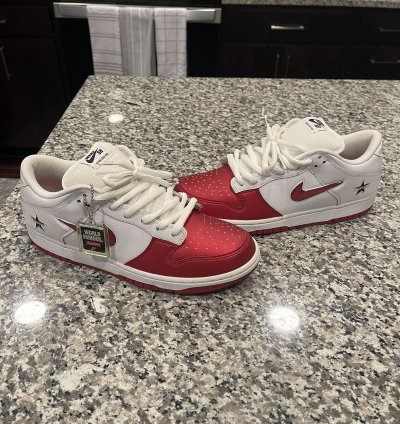 Supreme Nike Dunk Low Pro