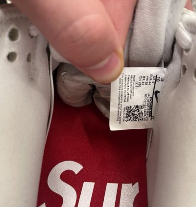 Supreme Nike Dunk Low Pro