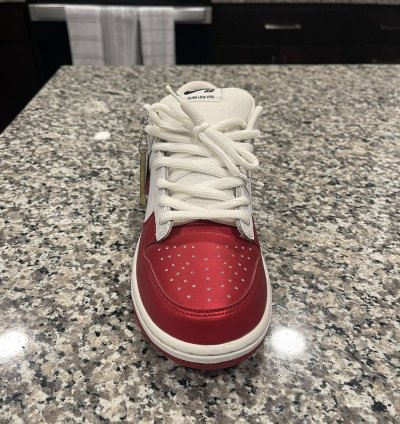 Supreme Nike Dunk Low Pro