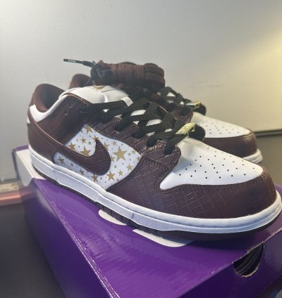 Supreme Nike Dunk Sb