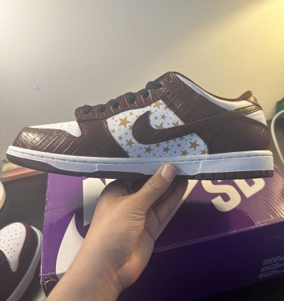 Supreme Nike Dunk Sb