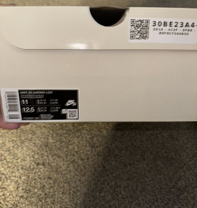 Nike Sb Supreme Darwin Low