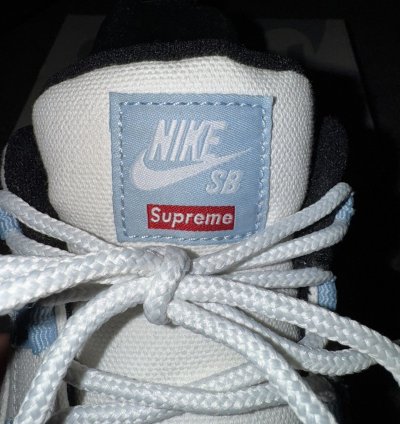 Nike Sb Supreme Darwin Low