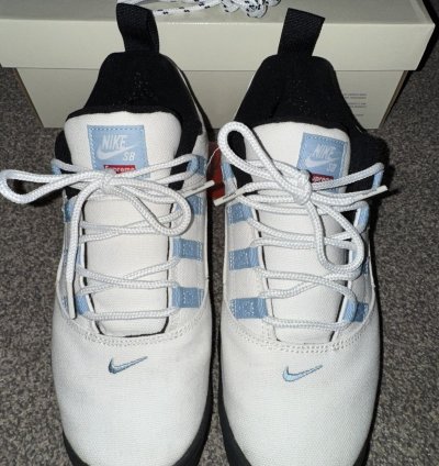 Nike Sb Supreme Darwin Low