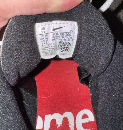 Nike Sb Supreme Darwin Low