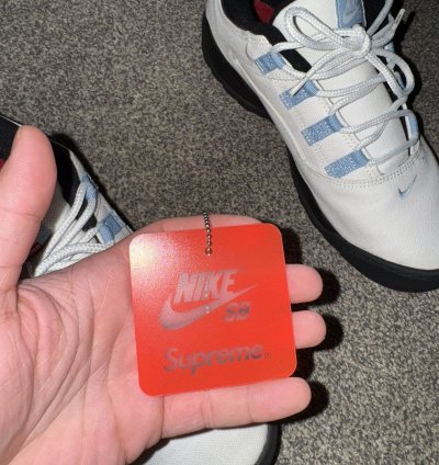 Nike Sb Supreme Darwin Low