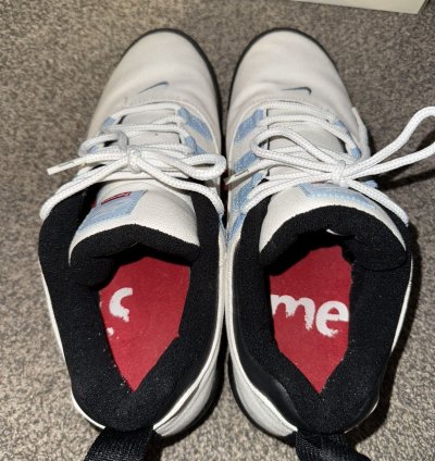 Nike Sb Supreme Darwin Low
