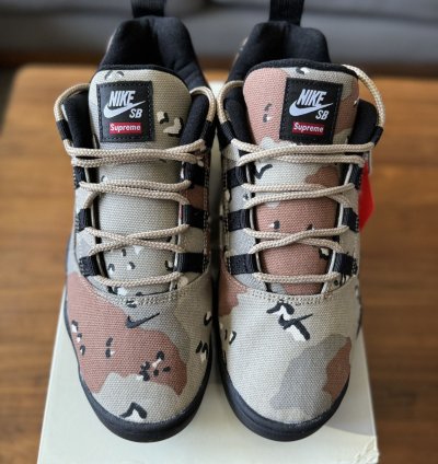 Supreme Nike Sb Darwin Low Desert Camo Size 9 5 In Hand