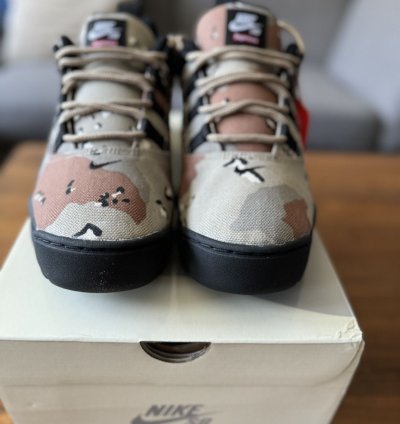Supreme Nike Sb Darwin Low Desert Camo Size 9 5 In Hand