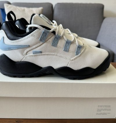 Supreme Nike Sb Darwin Low Sail Size 10 5 In Hand